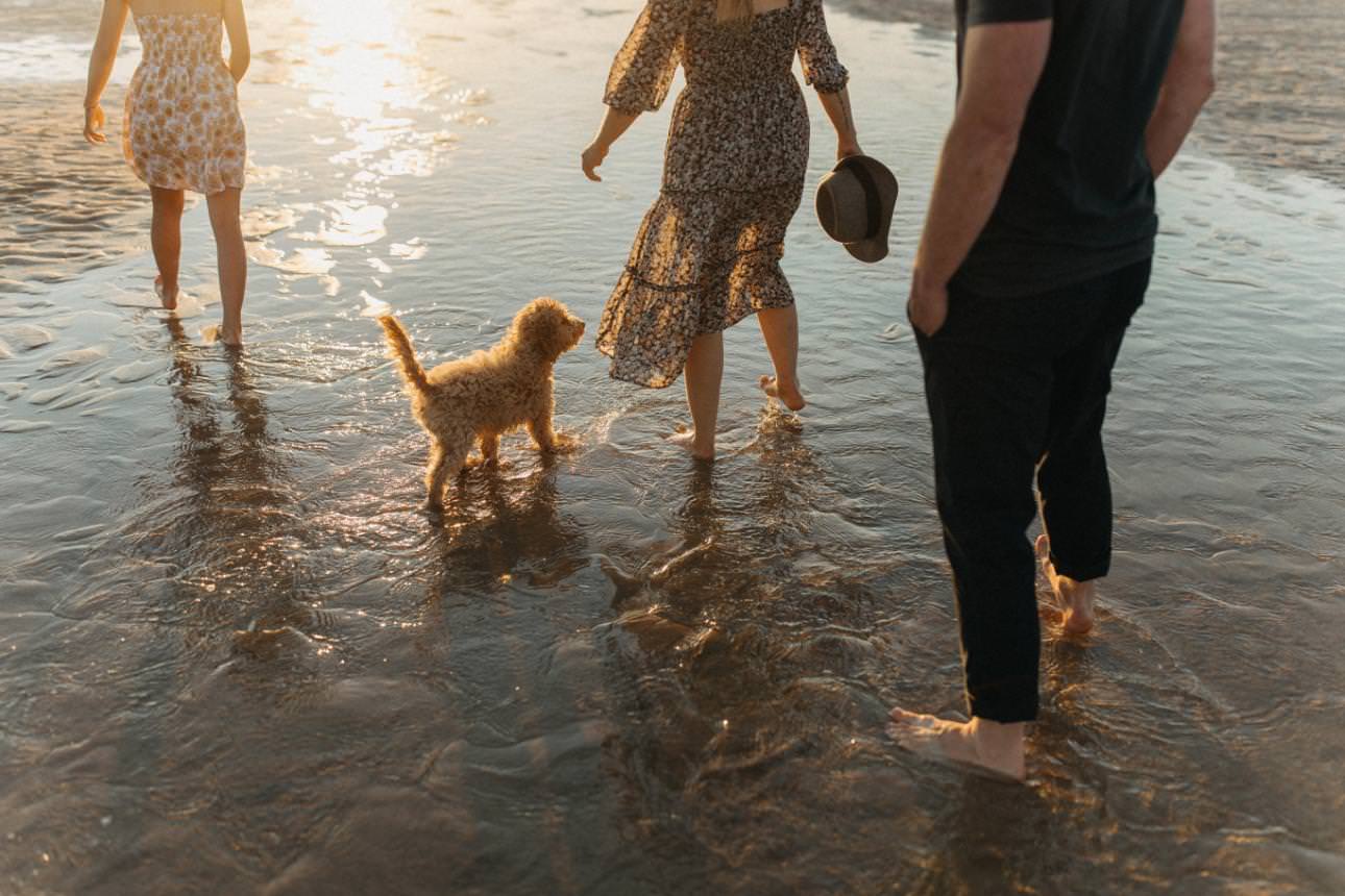 A family walking through the water on the beach with their puppy.